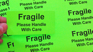 Fluorescent Green Fragile Labels Professionallabel.com